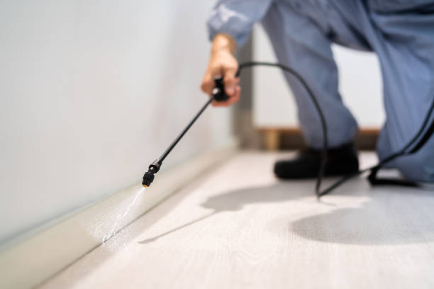 Licensed Pest Control service in Warren, OH - Show Me Pest Control