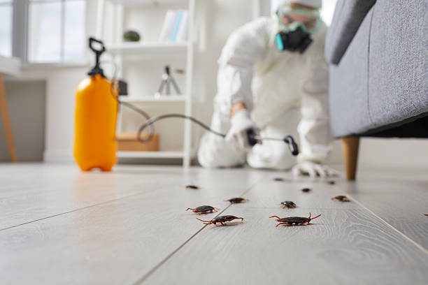 Commercial Kitchen Cockroach Control in Warren
